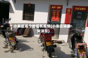 小朱庄哪个地区有疫情(小朱庄镇最新消息)