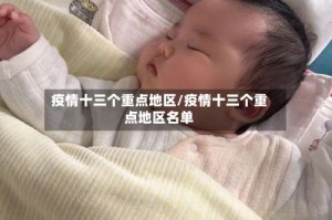 疫情十三个重点地区/疫情十三个重点地区名单