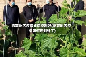 临夏地区疫情如何控制好(临夏地区疫情如何控制好了)