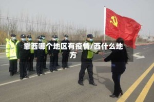 靠西哪个地区有疫情/西什么地方