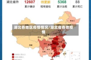 湖北各地区疫情情况/湖北省各地疫情