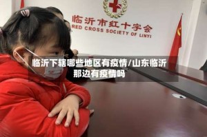 临沂下辖哪些地区有疫情/山东临沂那边有疫情吗