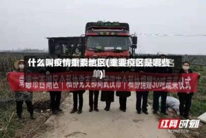 什么叫疫情重要地区(重要疫区是哪些)