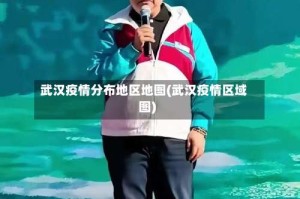 武汉疫情分布地区地图(武汉疫情区域图)