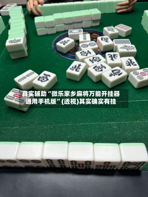 真实辅助“微乐家乡麻将万能开挂器通用手机版	”(透视)其实确实有挂-第2张图片