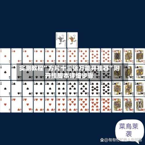 实测教程”方片十三张万能开挂器	”附开挂脚本详细步骤-第2张图片