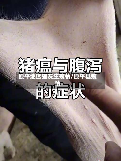 原平地区猪发生疫情/原平县疫情-第1张图片