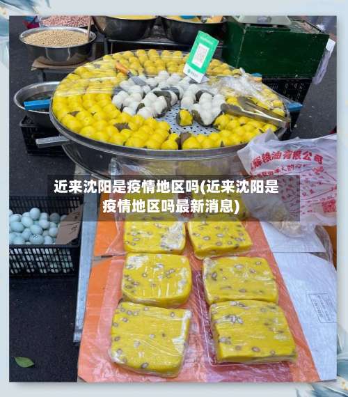 近来沈阳是疫情地区吗(近来沈阳是疫情地区吗最新消息)-第3张图片