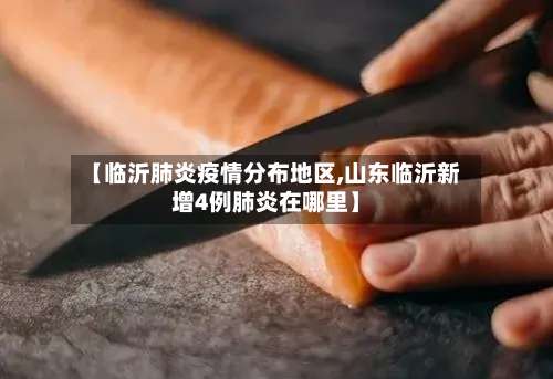【临沂肺炎疫情分布地区,山东临沂新增4例肺炎在哪里】-第3张图片