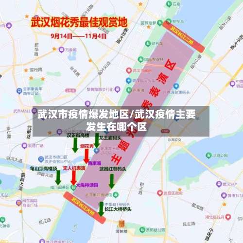 武汉市疫情爆发地区/武汉疫情主要发生在哪个区-第2张图片