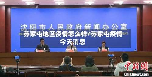 苏家屯地区疫情怎么样/苏家屯疫情今天消息-第1张图片