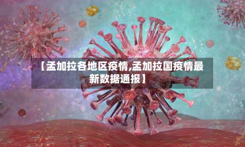 【孟加拉各地区疫情,孟加拉国疫情最新数据通报】-第2张图片