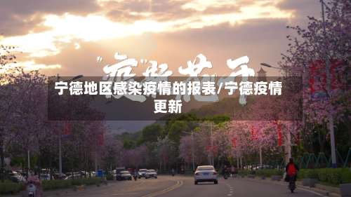 宁德地区感染疫情的报表/宁德疫情更新-第1张图片