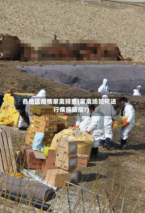 各地区疫情家禽排查(家禽场如何进行疾病防疫?)-第1张图片