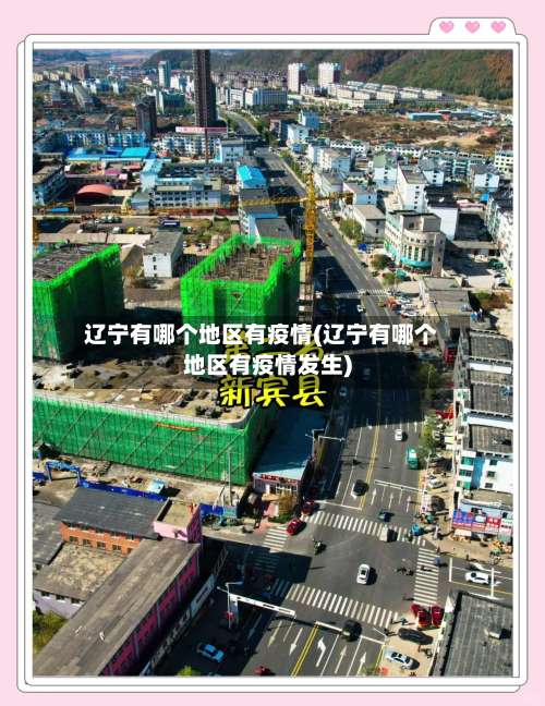 辽宁有哪个地区有疫情(辽宁有哪个地区有疫情发生)-第2张图片