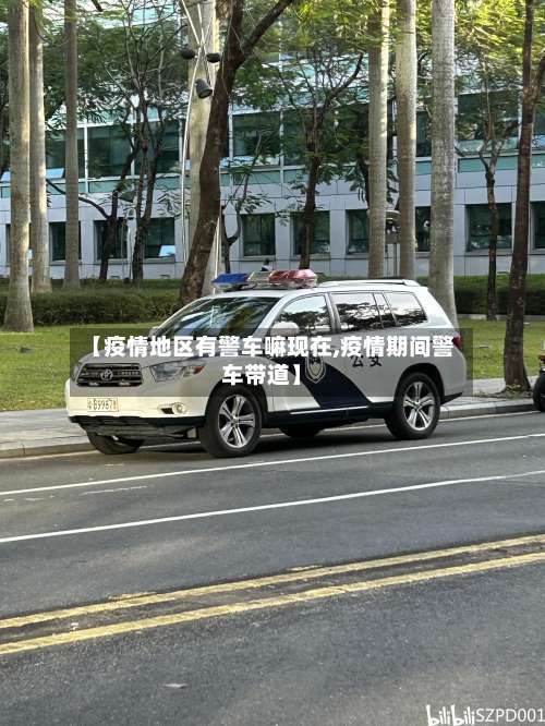 【疫情地区有警车嘛现在,疫情期间警车带道】-第2张图片
