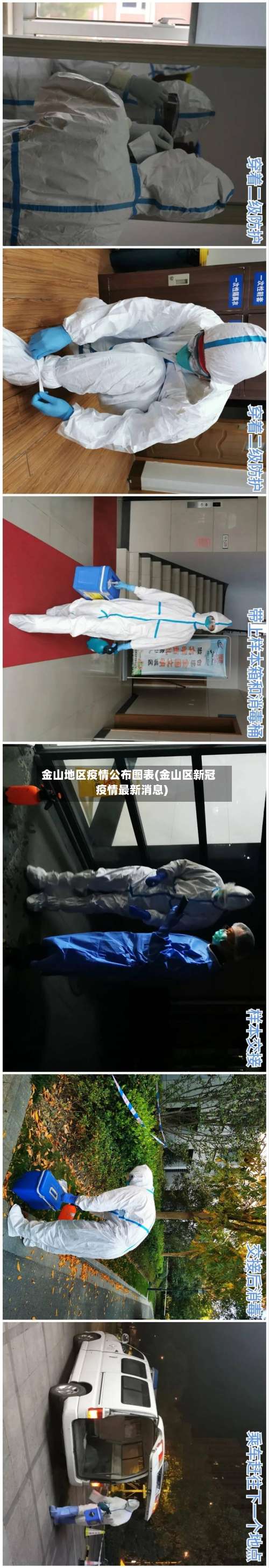 金山地区疫情公布图表(金山区新冠疫情最新消息)-第2张图片