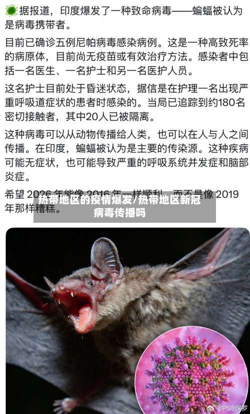 热带地区的疫情爆发/热带地区新冠病毒传播吗-第1张图片