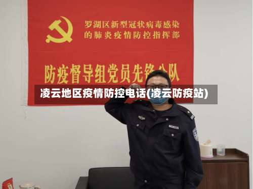 凌云地区疫情防控电话(凌云防疫站)-第2张图片