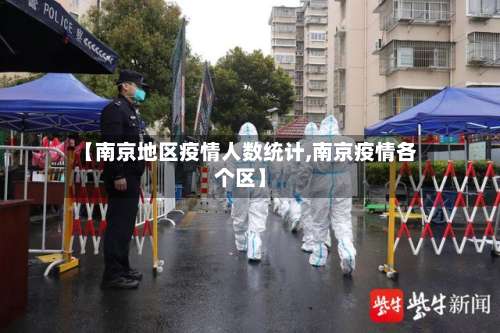 【南京地区疫情人数统计,南京疫情各个区】-第2张图片