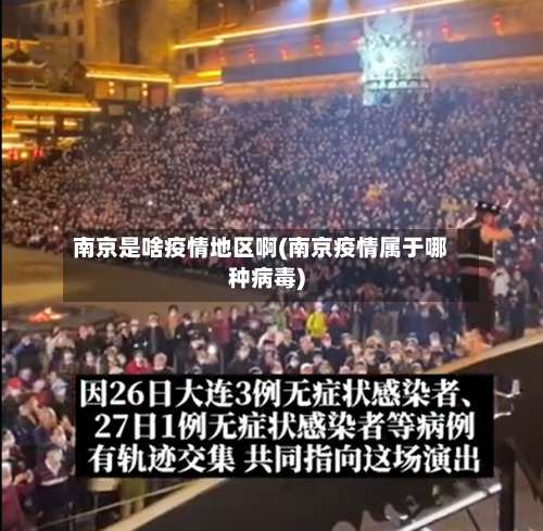 南京是啥疫情地区啊(南京疫情属于哪种病毒)-第1张图片