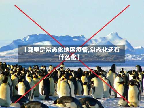 【哪里是常态化地区疫情,常态化还有什么化】-第2张图片