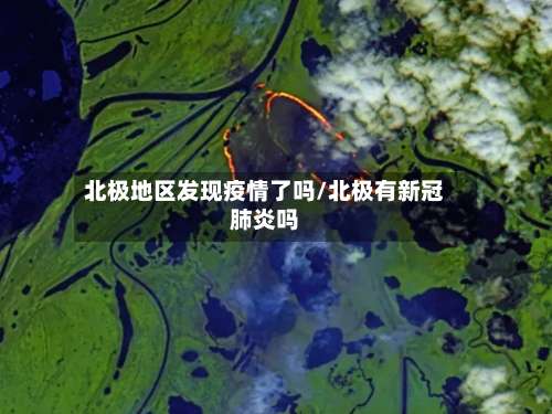 北极地区发现疫情了吗/北极有新冠肺炎吗-第3张图片