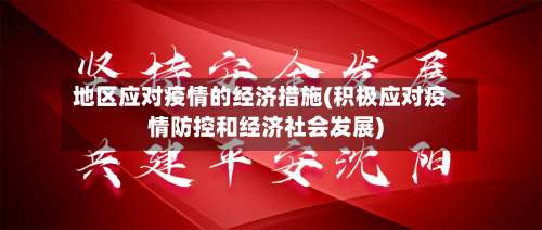 地区应对疫情的经济措施(积极应对疫情防控和经济社会发展)-第2张图片