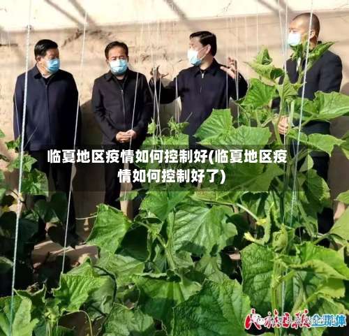 临夏地区疫情如何控制好(临夏地区疫情如何控制好了)-第1张图片