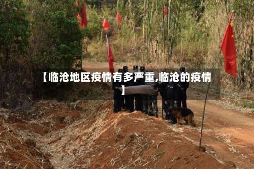 【临沧地区疫情有多严重,临沧的疫情】-第1张图片