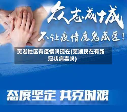 芜湖地区有疫情吗现在(芜湖现在有新冠状病毒吗)-第3张图片