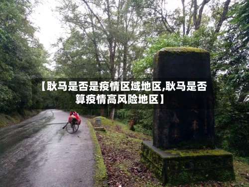 【耿马是否是疫情区域地区,耿马是否算疫情高风险地区】-第1张图片