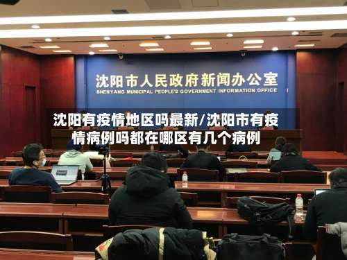 沈阳有疫情地区吗最新/沈阳市有疫情病例吗都在哪区有几个病例-第2张图片
