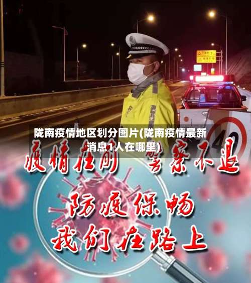 陇南疫情地区划分图片(陇南疫情最新消息1人在哪里)-第2张图片