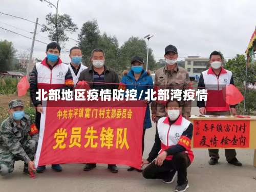 北部地区疫情防控/北部湾疫情-第2张图片