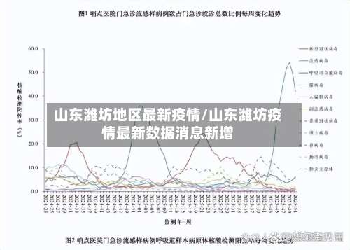 山东潍坊地区最新疫情/山东潍坊疫情最新数据消息新增-第1张图片